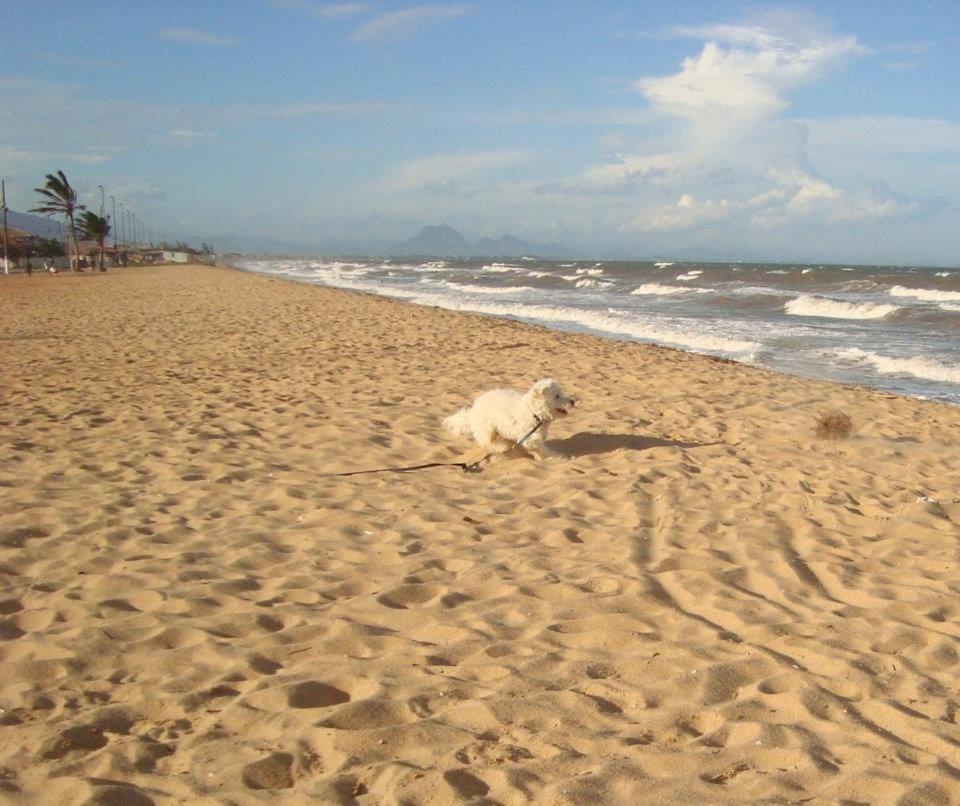 Casa De Praia - Verao Vermelho I - Cabo Frio - Unamar Buitenkant foto
